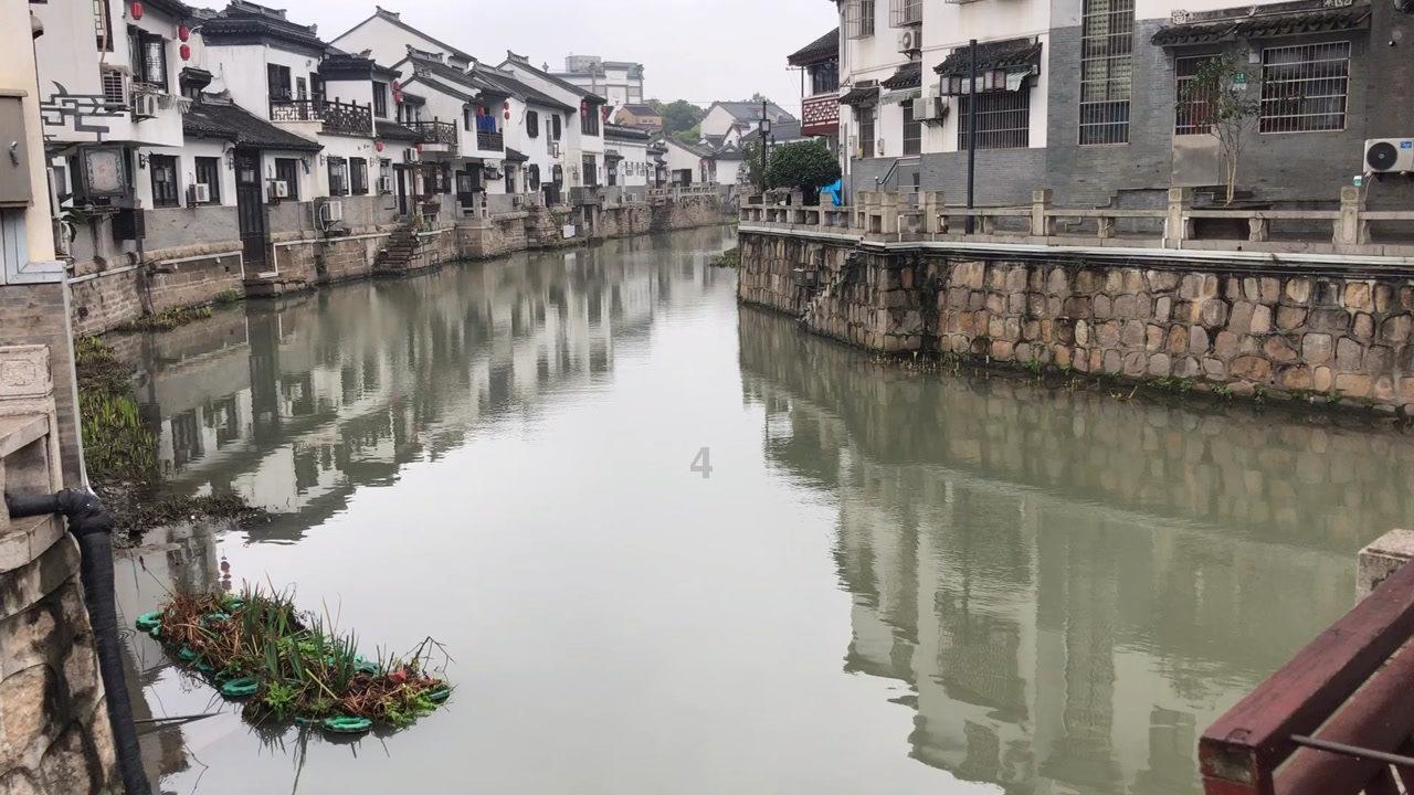 园丁逃生
