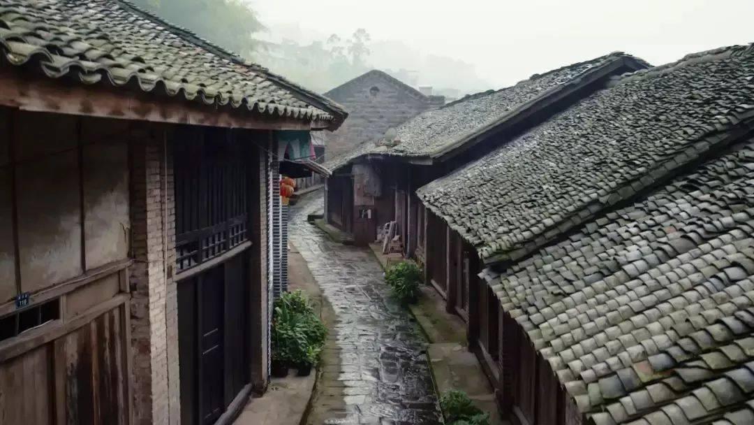 滚动的奶酪